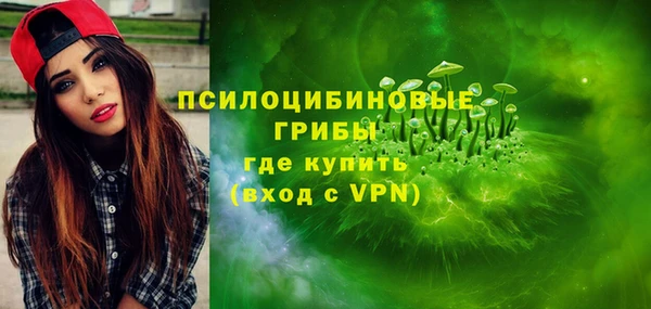 винт Арсеньев